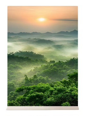 日出青山云海靠山图竖版山水画玄关聚财森林风景挂画自粘画装饰画