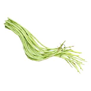 长豆角种子种籽苗秧豇豆大全芸豆四季豆扁豆缸豆孑豆角苗无架秧苗