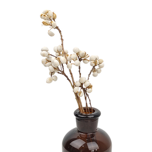 进口小白果干花 天然薏米果小清新装饰干树枝diy手作花环搭配花材