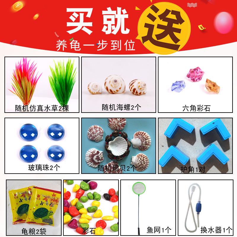 新款乌龟缸玻璃带晒台别墅长方形小型鱼缸水陆缸透明玻璃乌龟缸盆