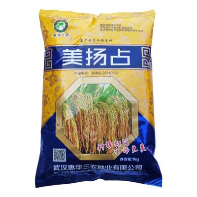 美扬占水稻种子常规稻谷长粒香米