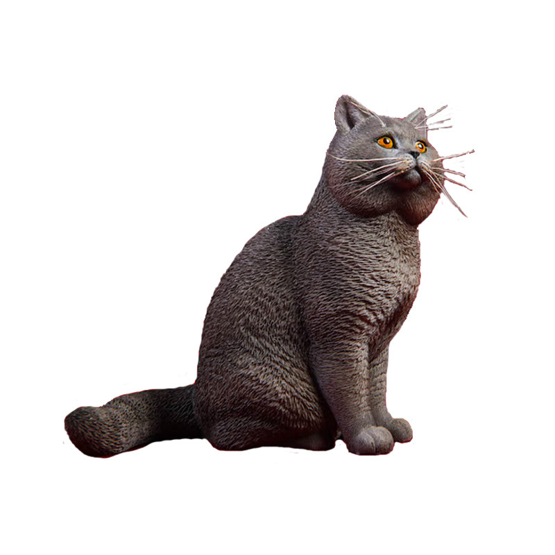 jxk英国短毛猫树脂汽车小摆件