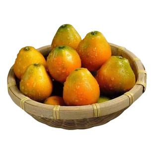 6A级正宗广西融安脆蜜金柑第三代纯甜独立包装新鲜采摘顺丰包邮