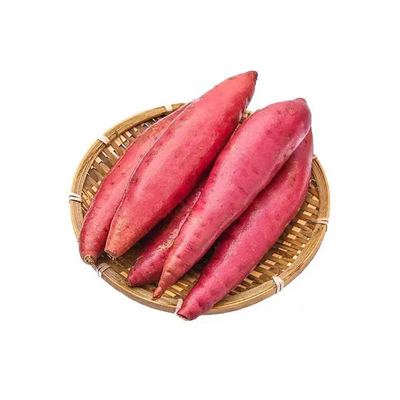 正宗当季新鲜沙地番薯整箱包邮