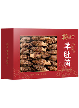 绿帝羊肚菌 菌菇类蘑菇菌类干货煲汤炖汤营养食材40g