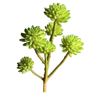 掬涵仿真多肉植物石竹装饰仿生花摆件客厅花束绿植造景插花假花