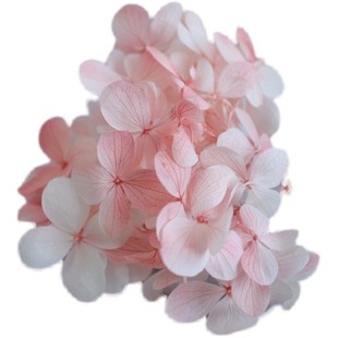 国产A级diy材料包干花玻璃罩打底中叶永生花双色小份木绣球手捧花