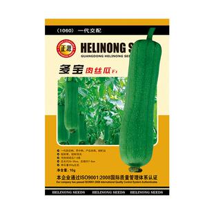 和利农 正源多宝肉丝瓜种子杂交短棒大丝瓜种籽子农家高产蔬菜孑