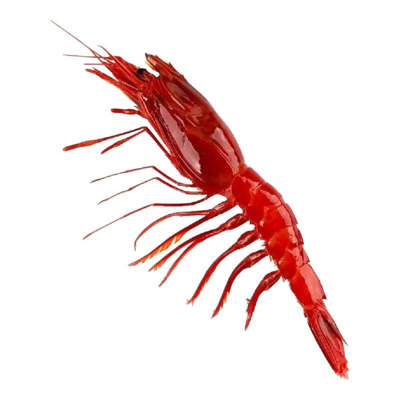 红魔虾活速冻冷冻虾甜虾牡丹虾