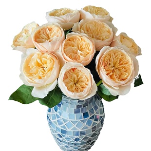 朱丽叶玫瑰鲜花云南基地直发朱莉叶鲜切花家用水养插花茱丽叶花束