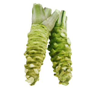 华煜芥末种子四季播驱寒绿芥末辣根山秋葵种籽阳台庭院盆栽种