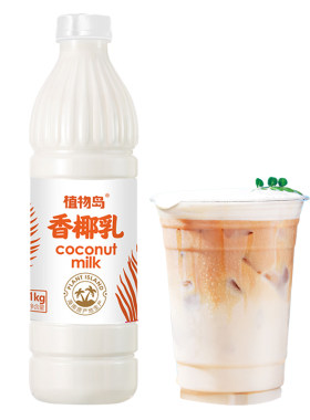 植物岛香椰乳商用奶茶店清椰汁