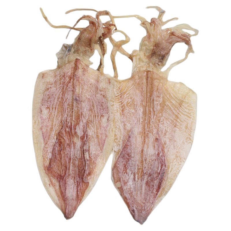 北海淡晒鱿鱼干烧烤常用规格