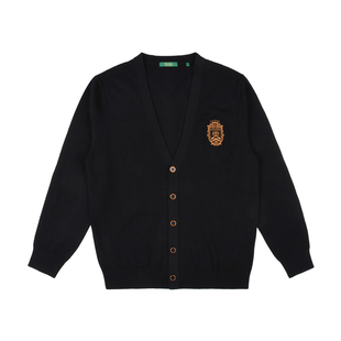 【可机洗易打理】Raidy Boer/雷迪波尔休闲V领针织毛衣开衫男5406