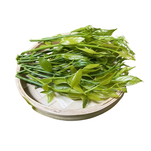 【顺丰空运】云南野生甜菜新鲜雷公菜长蕊甜菜深山采摘新鲜直到家
