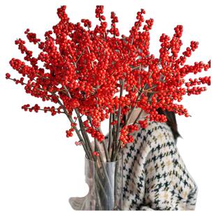 北美冬青红果鲜花切枝鲜切花水培水养绿植桌面年宵花卉真花好养活