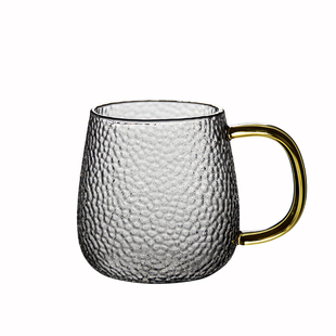 耐热透明玻璃杯彩把家用大容量喝水杯加厚办公室带盖男女泡茶杯子