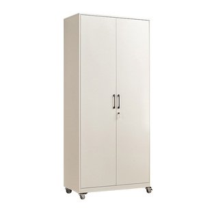 阳台柜防潮防晒收纳置物柜多功能带锁衣柜无醛铁皮柜可移动储物柜