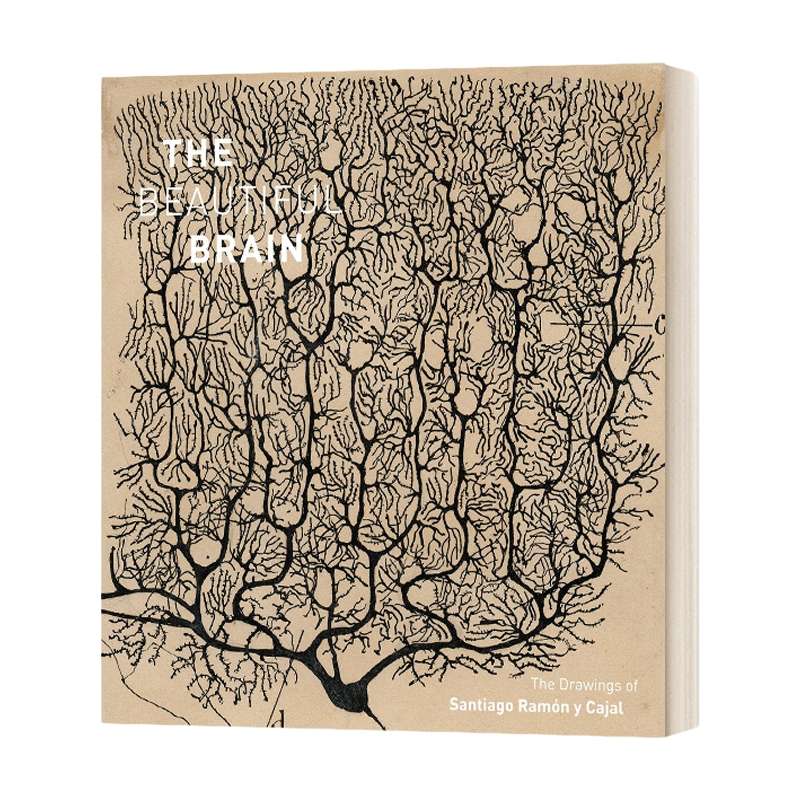 英文原版 The Beautiful Brain 美丽的大脑 圣地亚哥·拉蒙·卡哈尔的画作 精装 英文版 进口英语原版书籍