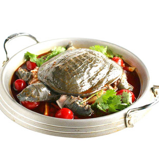 千岛湖甲鱼活体大绿色生鲜活团鱼水鱼食用中华鳖生态公鳖900g