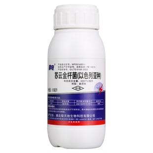 苏云金杆菌以色列亚种 蚊子幼虫药杀蚊子虫卵水塘 卫生杀虫剂农药