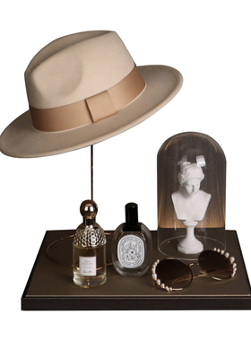 初舍驼色软装衣帽间样板房衣服