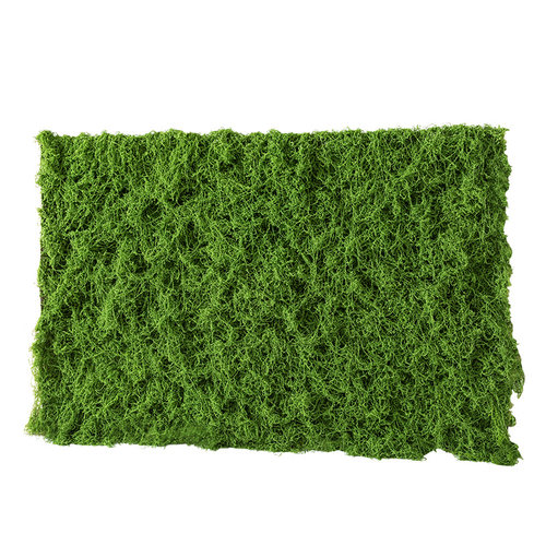 仿真苔藓草皮仿生假苔藓仿真草坪永生假青苔微景观绿植造景假草丝