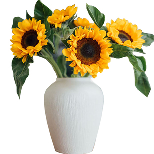 毕业向日葵真花小花束新鲜批鲜花发家用云南花卉水养昆明市场斗南