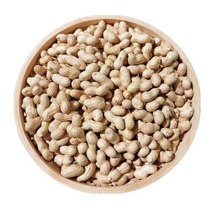 正宗小珍珠蒜香味核桃味花生坚果炒货食品特产香脆休闲小零食带壳