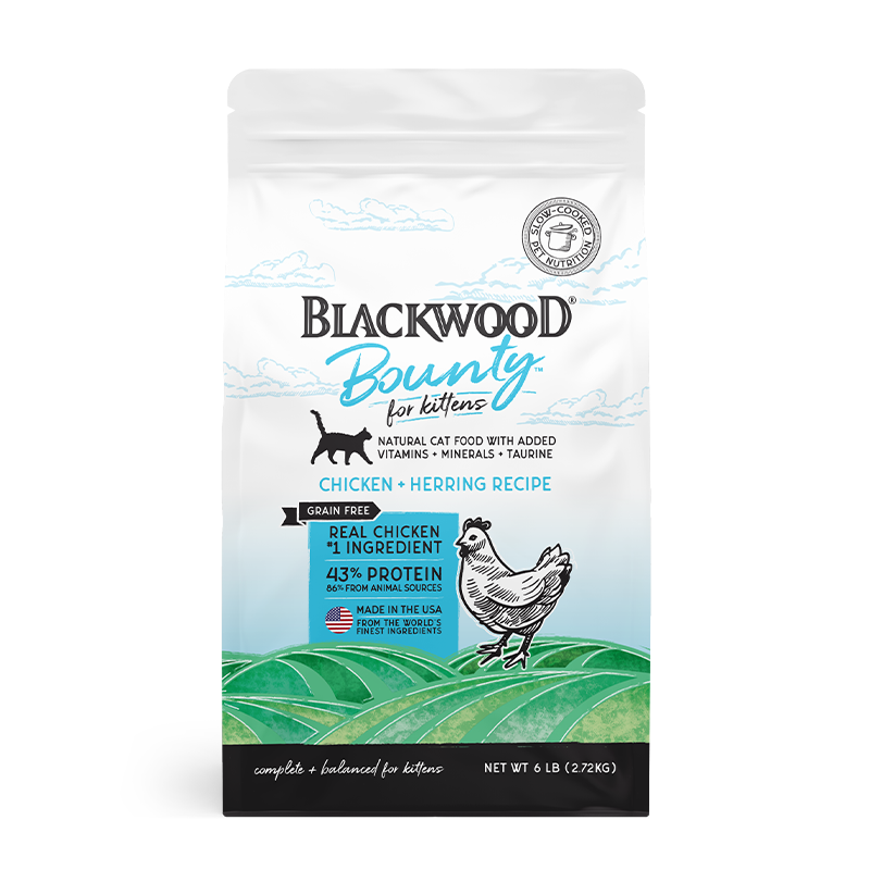 【618倒计时】BLACKWOOD珀萃低温慢煮幼猫粮鸡肉健康长肉发腮