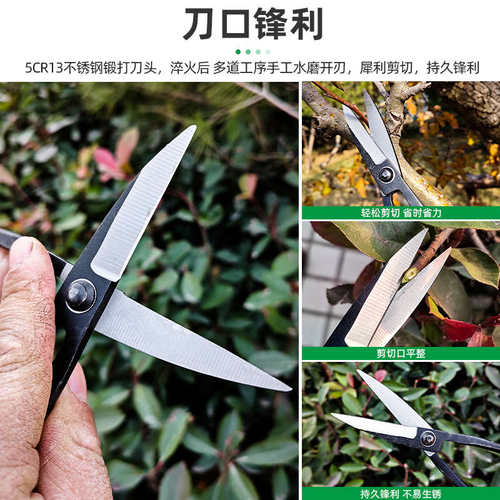 修枝剪园艺叶芽剪刀家用小枝剪盆景园林专用工具专业插花剪花艺剪