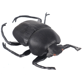 林畅模玩昆虫玩具屎壳郎模型蜣螂圣甲虫仿真虫子实心动物儿童认知