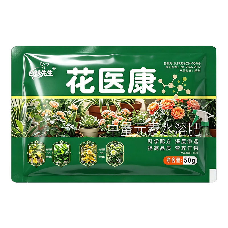 三角梅月季兰花多肉白粉植物黄叶