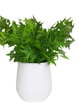 厨房格子轻奢风橱柜展厅小摆件