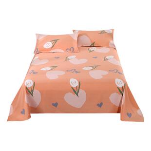 秋冬新品全棉加厚磨毛床单宿舍单件暖绒纯棉枕套一对装床上三件套