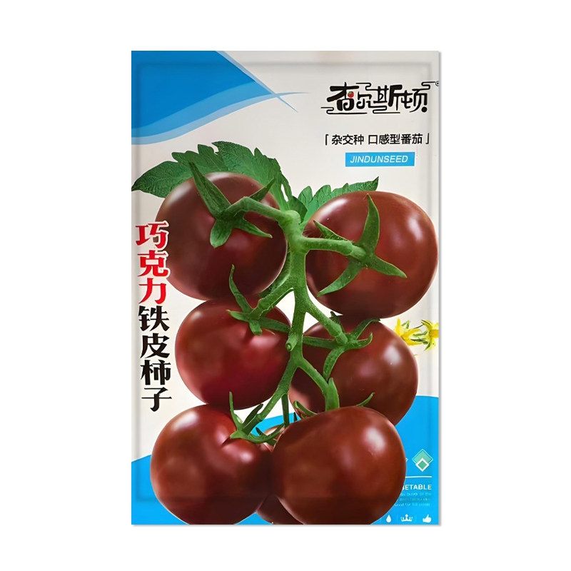 巧克力铁皮柿子番茄种子