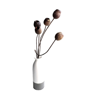 南非进口招财果干花 一口钟烟斗果永生花diy花材 家居复古装饰品