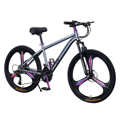 中国红旗铝合金碟刹男女款山地车