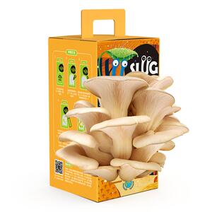 蘑菇种植包可食用蘑菇盒子菌包菌种子家种diy儿童种植蘑菇小盆栽