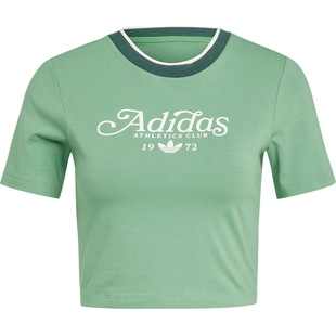 Adidas/阿迪达斯官方正品三叶草女士短款运动短袖圆领T恤IY5238