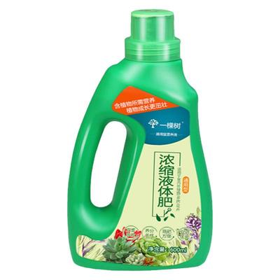 花卉浓缩植物水培通用型液体肥