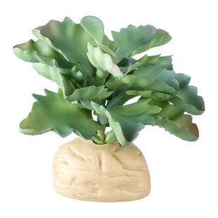 宠维奥爬宠守宫蜥蜴饲养箱造景仿真植物热带沙漠生态雨林装饰绿植