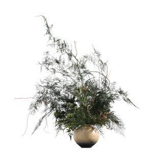 鲲屿 新中式陶瓷花器文竹花艺【绛河绿雾】高级感样板间酒店摆件