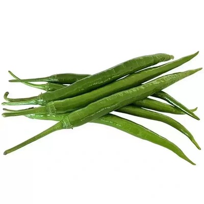 新鲜薄皮线椒二荆条辣椒批发