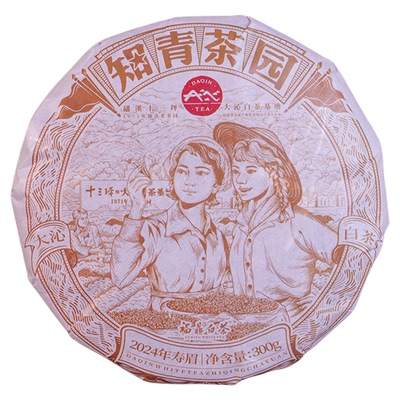 大沁白茶 2024年新品 福鼎白茶寿眉饼 磻溪知青茶园300g