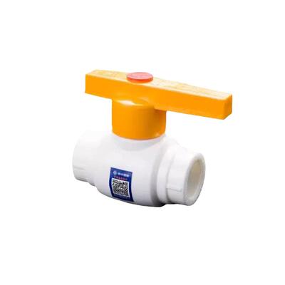 PPR双活接钢芯球阀阀门20塑料25水阀阀门开关4分6分1寸32水管配件