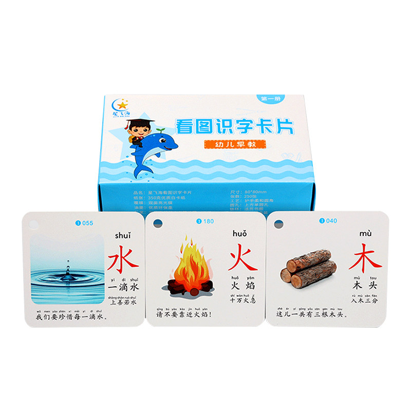 儿童认字识字卡片启蒙早教幼儿园宝宝学龄前象形看图汉字神器全套