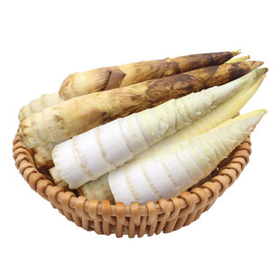 正宗福建建瓯现挖农家雷笋3-5斤装毛笋脆嫩鲜小竹笋时令蔬菜冬笋