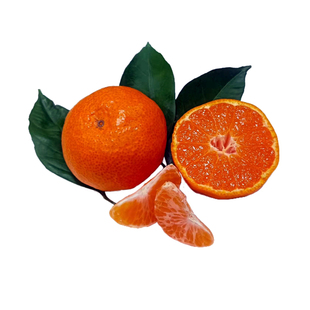 台州涌泉蜜桔浙江临海宫川新鲜无核高山薄皮橘子整箱桔子10斤现摘