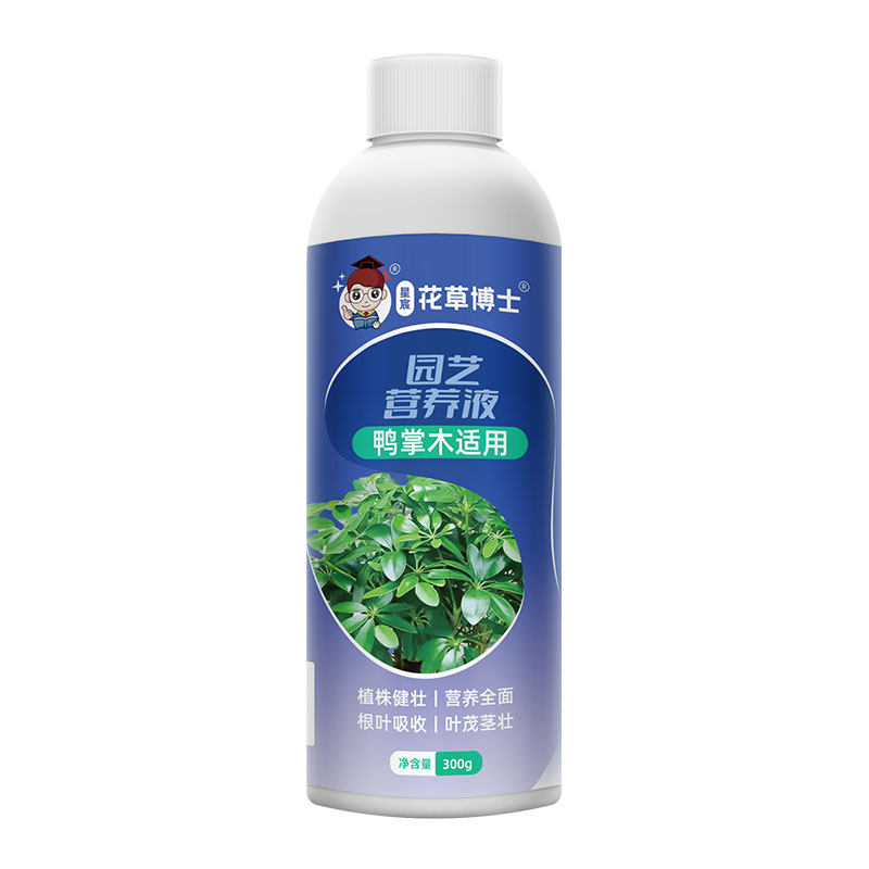 星宸花草博士鸭掌木专用营养液
